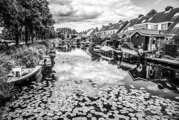 Zaandam Nederland Augustus 2016 Traditionele Nederlandse Woongebouwen Close Algemene Landschapsmening — Stockfoto