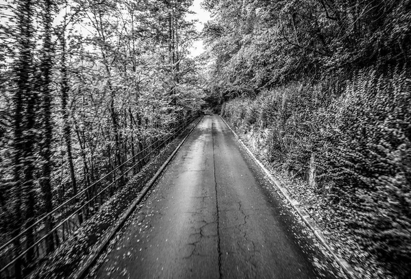 Asphalt road outside the city. Black-white photo.
