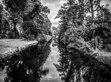 Güzel bir şehir parkı öğeleri. Siyah-beyaz fotoğraf.