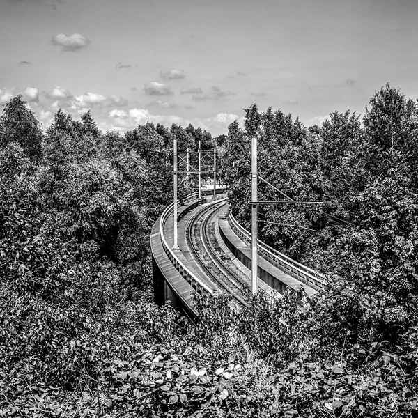 Railway Railroad Tracks Train Transportation — Stock Photo, Image
