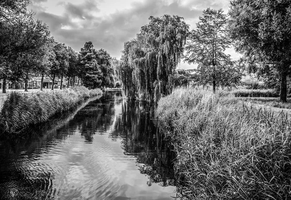 Vacker Stad Park Element Svart Vitt Foto — Stockfoto