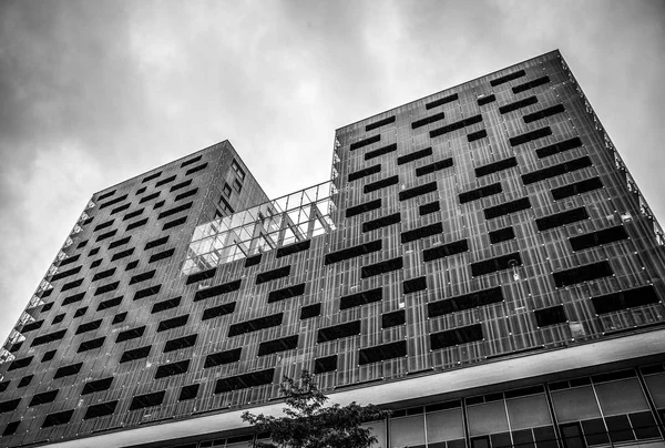 Rotterdam Países Bajos Diciembre 2016 Edificios Modernos Centro Negocios Primer — Foto de Stock