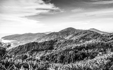 Tropik ada kıyıları. Siyah-beyaz fotoğraf.