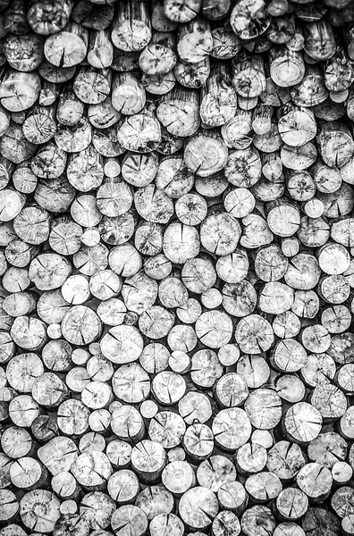 Old Wooden Background Black White Photo — Stock Photo, Image