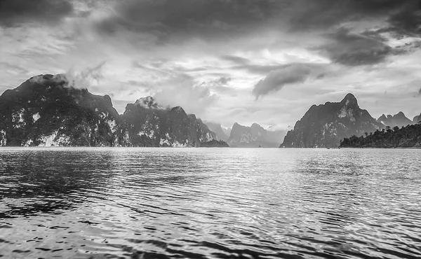 Côte Île Tropicale Photo Noir Blanc — Photo