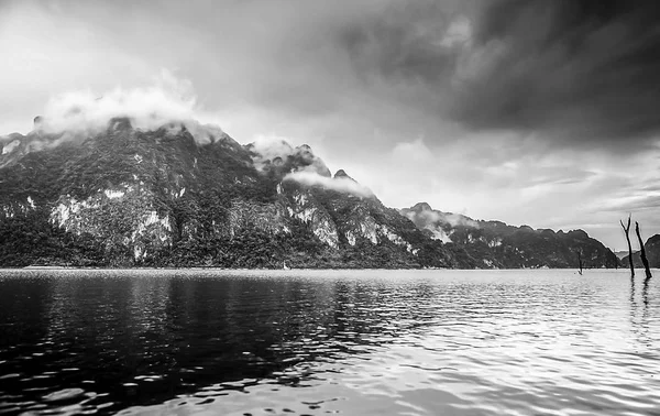 Wybrzeżu Wyspy Tropikalne Fotografia Czarno Biała — Zdjęcie stockowe