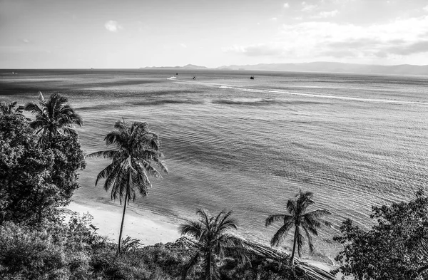 Pobřeží Tropického Ostrova Černo Bílé Fotografie — Stock fotografie