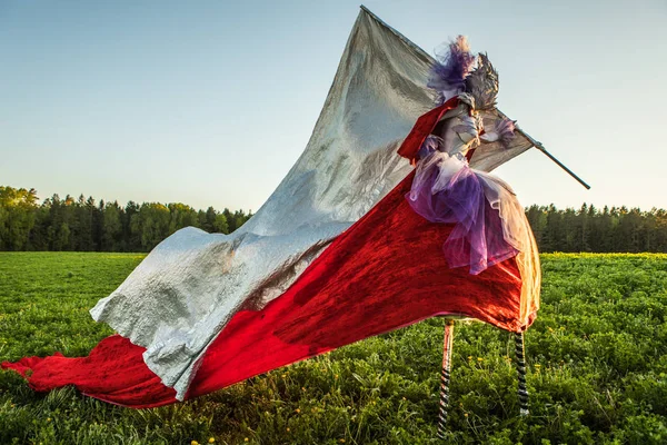 Pohádka Žena Chůdách Světlé Fantasy Stylizaci Venkovní Fotografie Výtvarného Umění — Stock fotografie