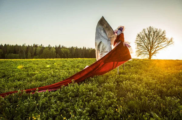 Fairy Tale Kobieta Palach Gorący Jasny Fantasy Zewnątrz Fotografia Artystyczna — Zdjęcie stockowe