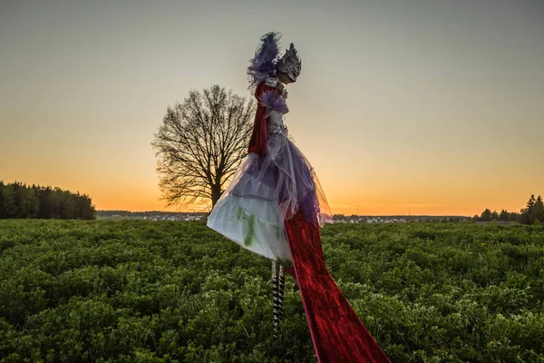 Peri Masalı Kadın Parlak Fantastik Filmde Stilts Güzel Sanatlar Açık — Stok fotoğraf