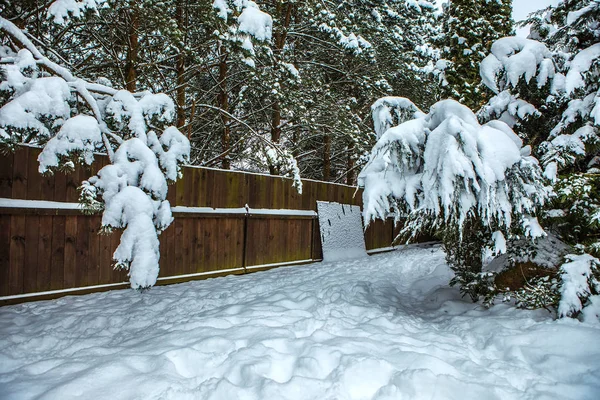 Delar Snöiga Vinter Trädgård — Stockfoto