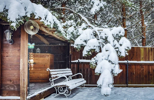 Elementy Snowy Ogród Zimowy — Zdjęcie stockowe