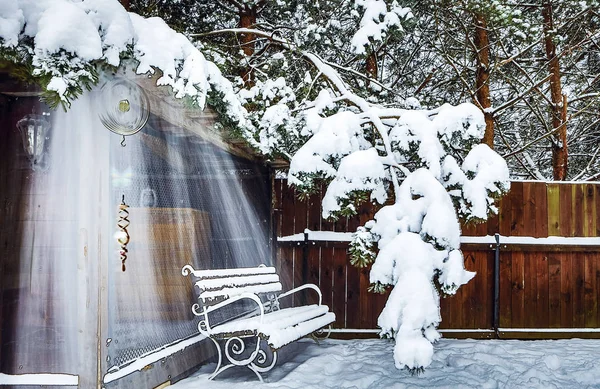 Elementy Snowy Ogród Zimowy — Zdjęcie stockowe