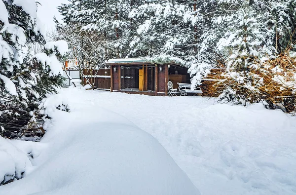 Elementy Snowy Ogród Zimowy — Zdjęcie stockowe