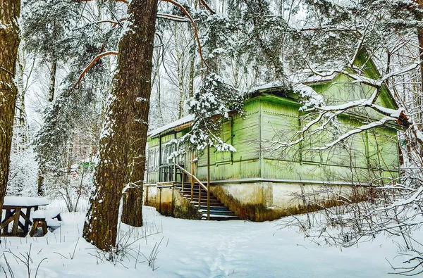 Opuszczony Dom Lesie Zimą — Zdjęcie stockowe