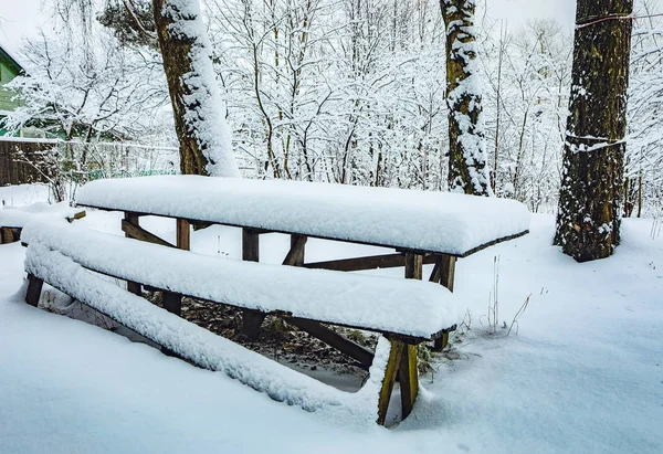 雪に覆われた冬の庭の要素 — ストック写真