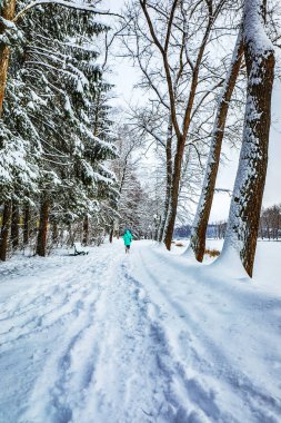 Kar kış yol manzarası kaplı.