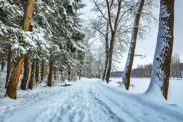 Snötäckta Vägen Vinterlandskap — Stockfoto