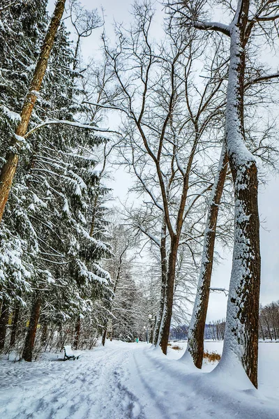 Snötäckta Vägen Vinterlandskap — Stockfoto