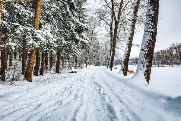 Pokryte Śniegiem Zimą Droga Krajobraz — Zdjęcie stockowe
