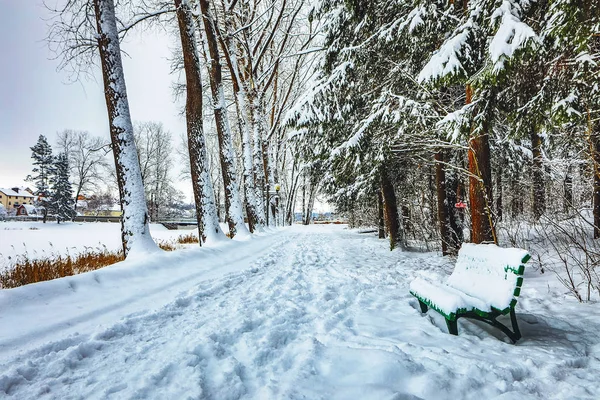 Χιονοσκέπαστο Χειμερινό Τοπίο Δρόμο — Φωτογραφία Αρχείου