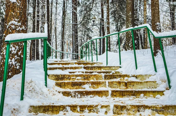 Staircase with railings in snowy park.