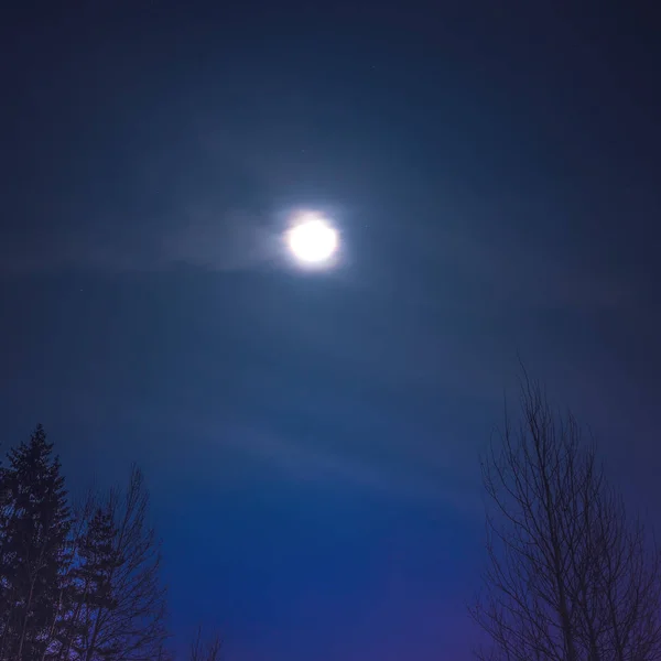 Volle Maan Nachtelijke Hemel — Stockfoto