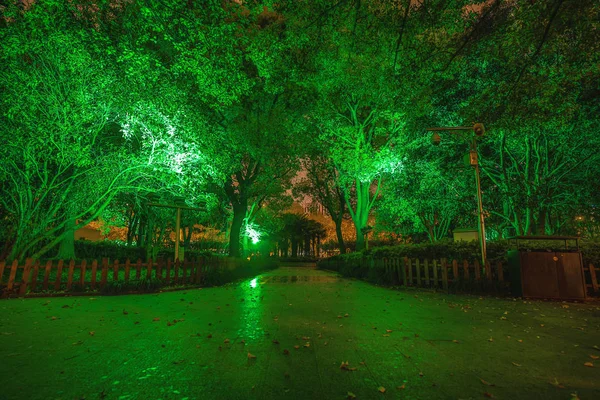 Inträde Till Natt Parken — Stockfoto
