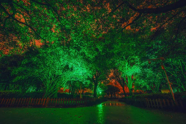 Entrance Night Park — Stock Photo, Image