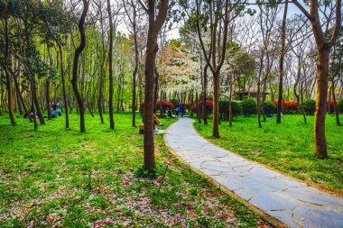 Geleneksel Çin Bahçe Parkı.