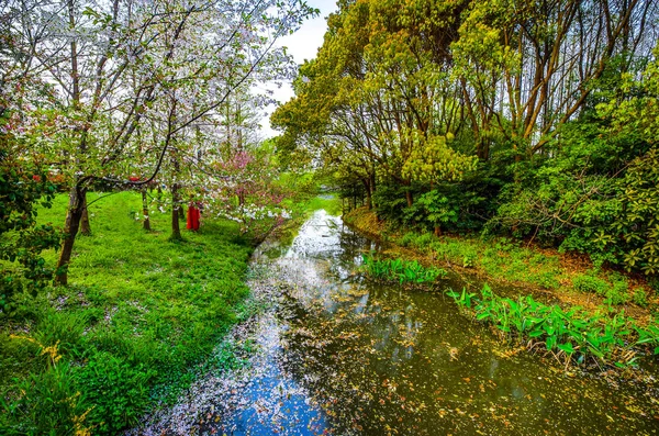 Parc Traditionnel Chinois Jardin Ville — Photo