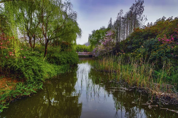 Parque Tradicional Jardín Chino — Foto de Stock