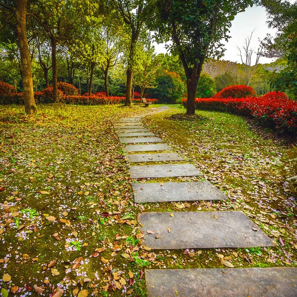 Tradiční Čínská Městská Zahrada Park — Stock fotografie