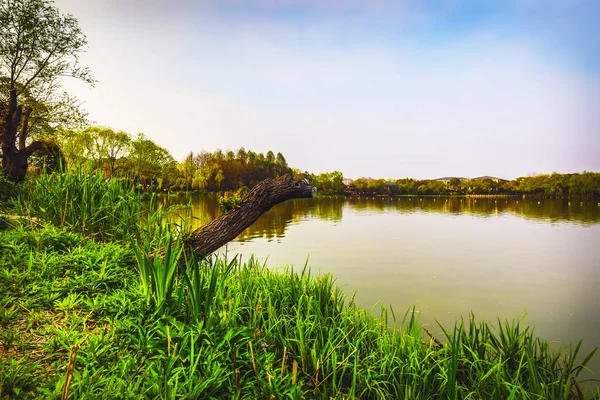 Traditional Chinese City Garden Park — Stock Photo, Image