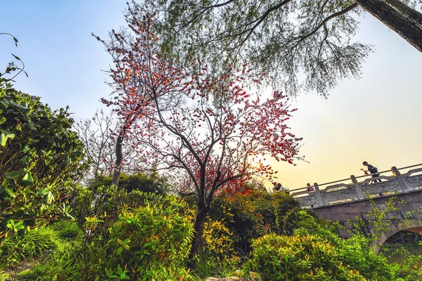 Traditioneller Chinesischer Gartenpark — Stockfoto