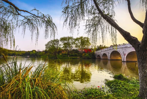 Traditional Chinese City Garden Park — Stockfoto