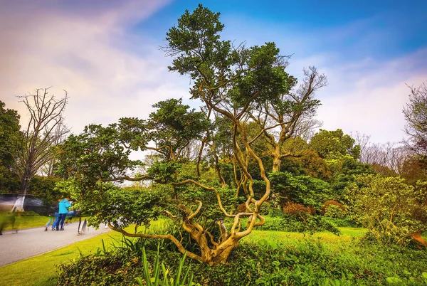 Parco Giardino Tradizionale Cinese — Foto Stock