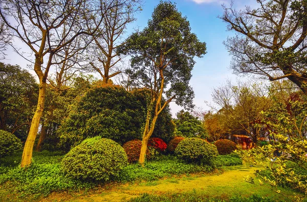 Parc Jardin Chinois Traditionnel — Photo