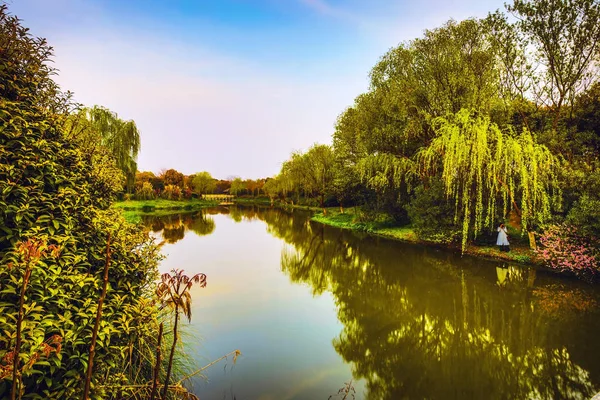 Parque Tradicional Jardín Chino — Foto de Stock