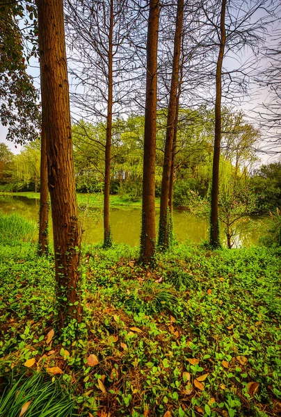 Traditionell Kinesisk Trädgårds Park — Stockfoto