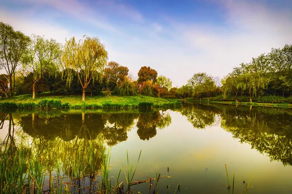 Parque Tradicional Jardín Chino — Foto de Stock