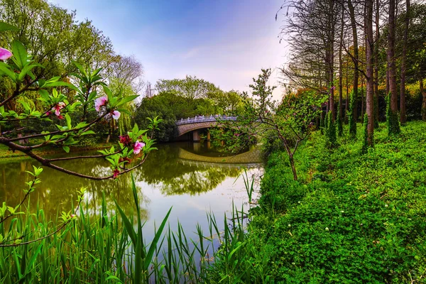 Ponte Chinesa Tradicional Velha Parque Cidade — Fotografia de Stock