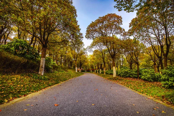 Tradiční Čínská Městská Zahrada Park — Stock fotografie