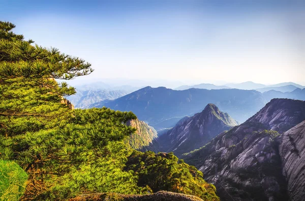 Gelbe Berge Huangshan Provinz Anhui China — Stockfoto