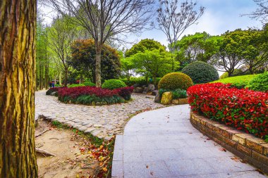 Geleneksel Çin Bahçe Parkı.