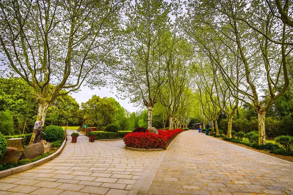 Parque Jardim Chinês Tradicional — Fotografia de Stock