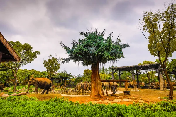 Şangay Hayvanat Bahçesi Ndeki Filler — Stok fotoğraf