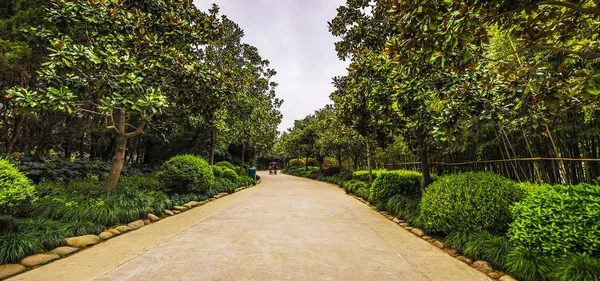 Традиційний Китайський Сад Парк — стокове фото