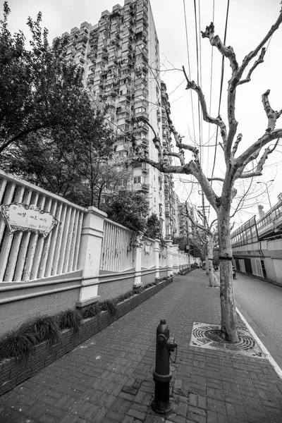 Modern Central Streets Shanghai Buildings Black White Photo — Stock Photo, Image