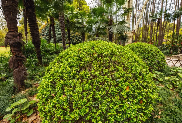 Traditional Chinese City Garden Park — Stockfoto